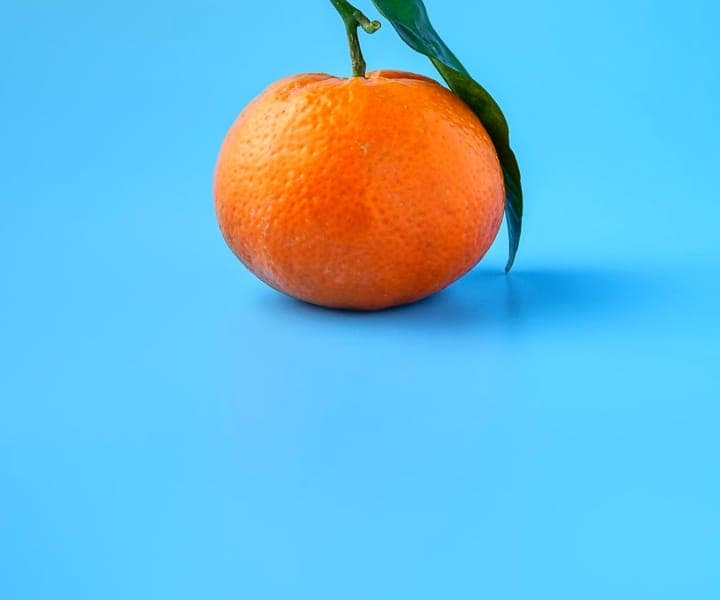 white egg on with a orange background