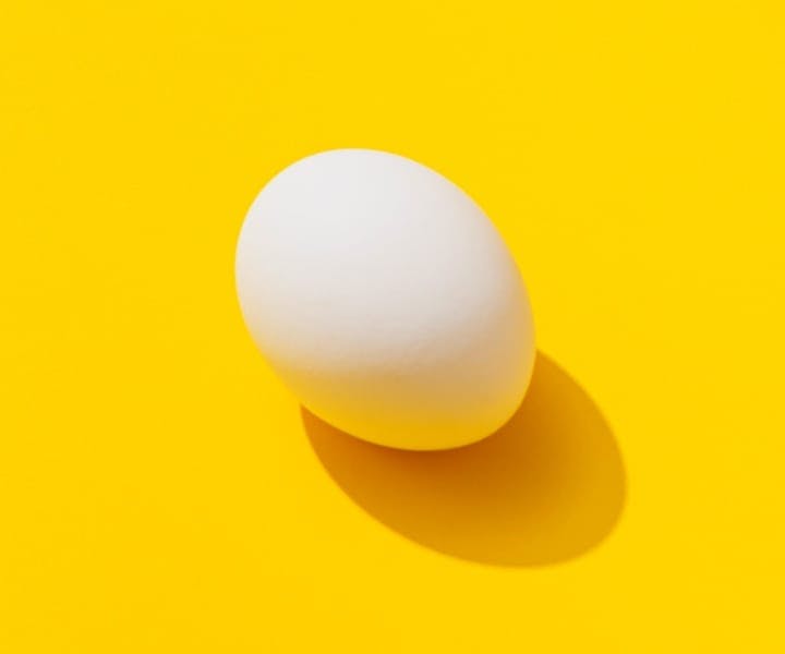 white egg on with a orange background